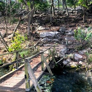 Meet your Posher, Wendy